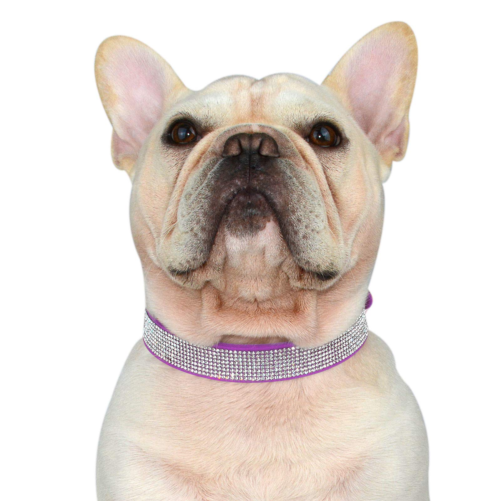 Hifrenchies Crystal Rhinestones Sparkling Diamonds Soft Suede Leather Dog Pet Collars for Frenchie,Cute Dazzling Shining Collar for Cat Puppy and Other Small Medium Dog(L,PURPLE)