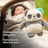 Tommee Tippee Mini PipPanda Travel Sleep Aid CrySensor White Noise 3 Lullabies view 7