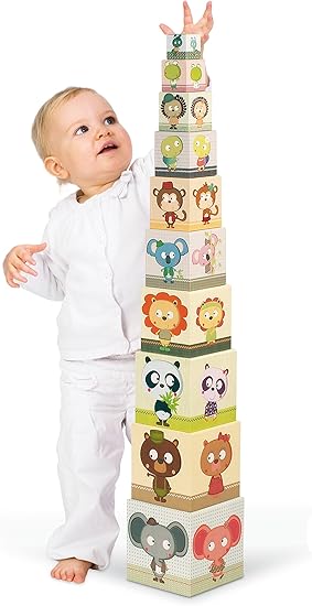 janod stacking blocks