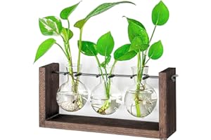IVOLADOR I Propagation Station, Plants Terrarium, Plants Lover Gifts for Women,Plant Cutting Holder Home décor,Gifts for Women,House Warming New Home-3 Bulbs-Mounted