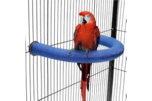 Mtxorvix U Shape Parrot Perch Stand Pet Toy Bird Platform Sand Paw Grinding Clean Stick Cage Exercise Conure Budgie Accessori