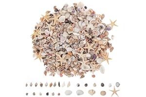 JQAQJU 1000 PCS Mini Sea Shells Small Starfish Mixed, 20 Kinds of Tiny Seashells Bulk for Crafting, Beach Natural Spiral Conch Shells for Crafts DIY Beach Theme Party Candle Decor Wedding Fish Tank