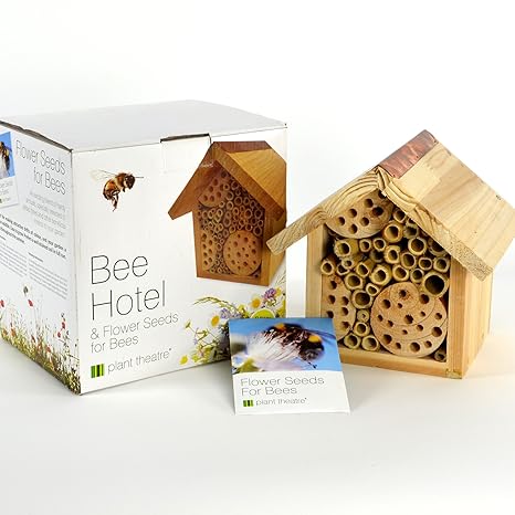 Maison Pour Abeilles Et Graines De Fleurs Plant Theatre Boîte Cadeau Idéales Pour Les Abeilles