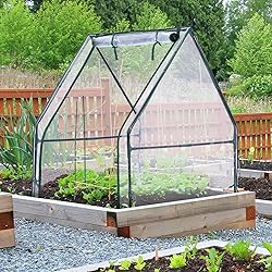 Mini Greenhouse for Indoor Outdoor: Ohuhu Portable