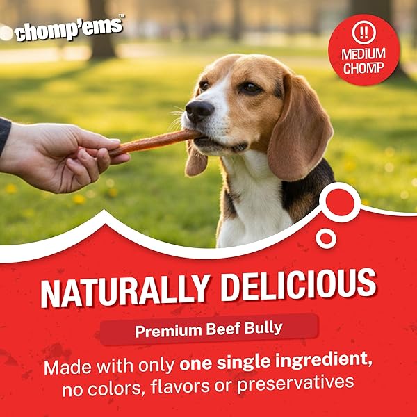 CHOMP’EMS NATURALLY DELICIOUS BULLY STICKS – LONG LASTING NO HIDE DOG CHEWS – NO ARTIFICIAL FLAVORS, COLORS, OR PRESERVATIVES – PROTEIN RICH ALTERNATIVE TO RAWHIDE, 8 OZ.