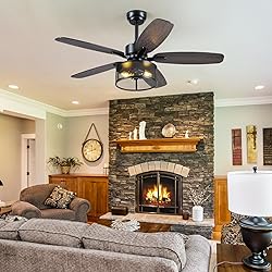 Farmhouse Ceiling Fan with Light and