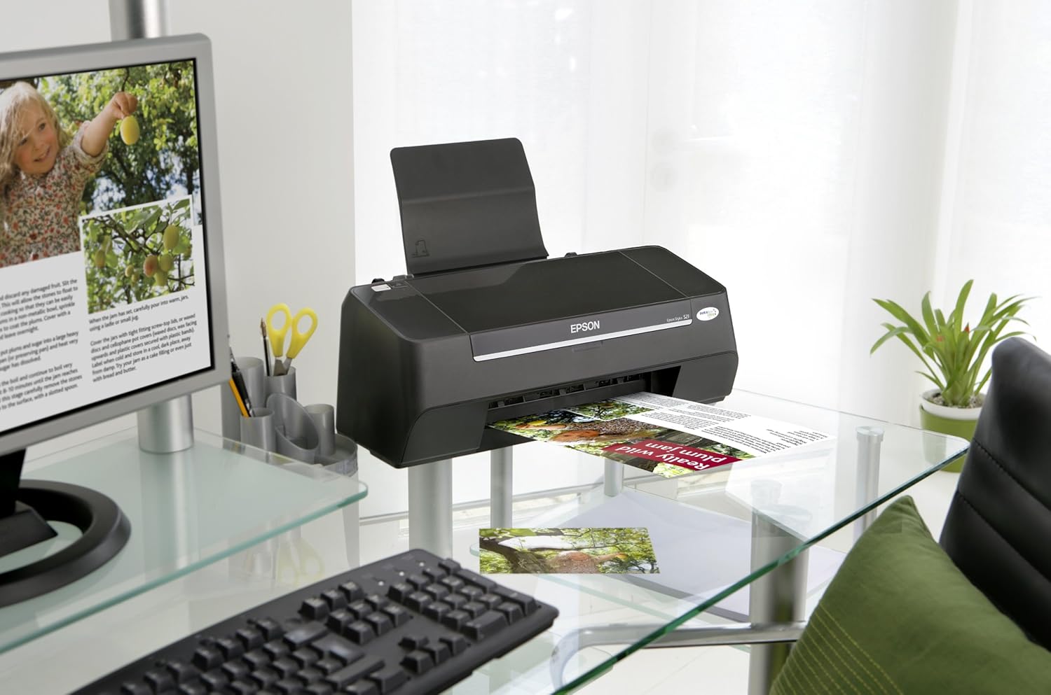 epson s21 printer