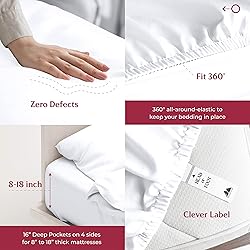 Mayfair Linen Egyptian Cotton Queen Sheet Set, 800