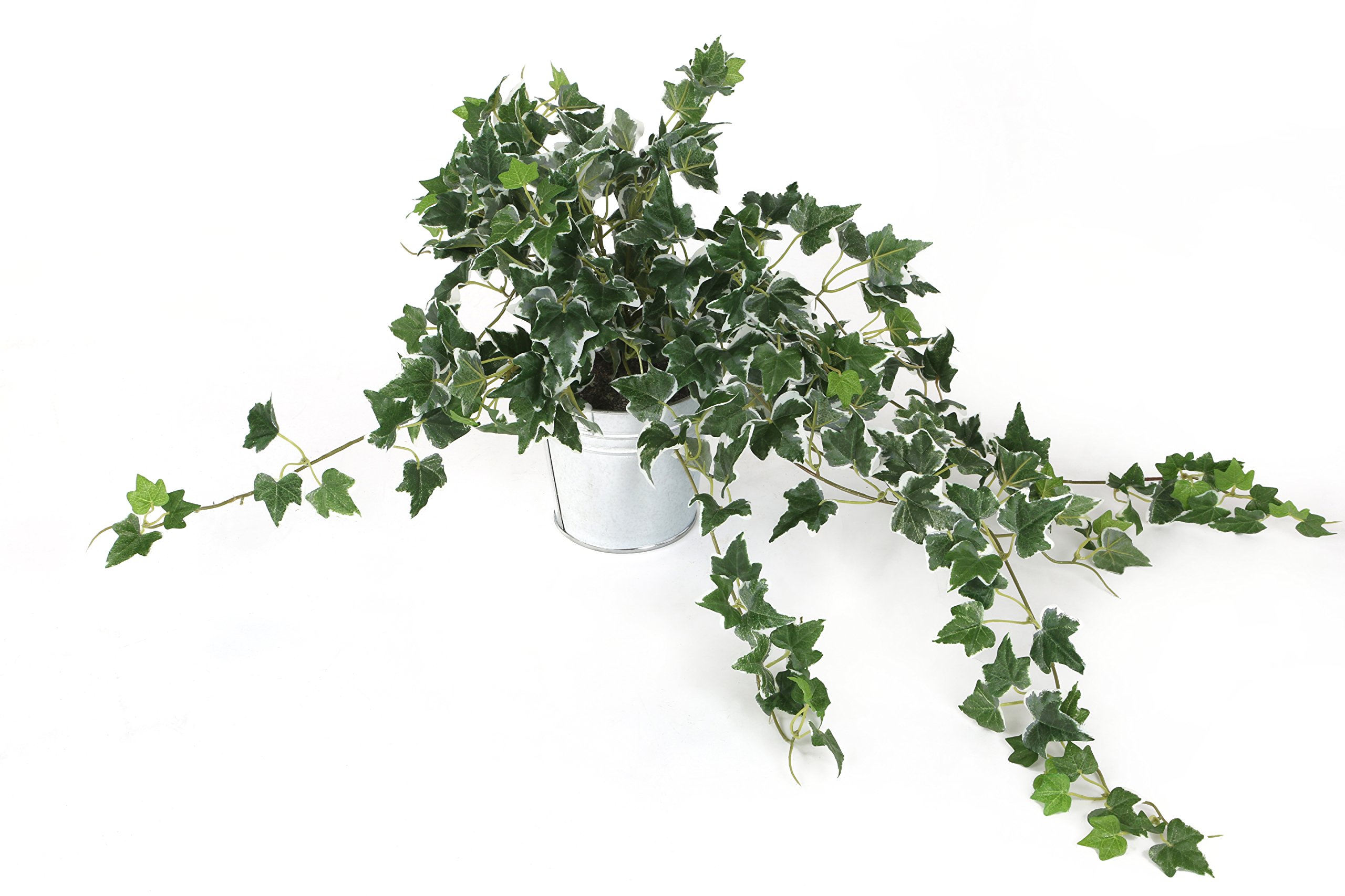 Closer2Nature Artificial 57cm Variegated Ivy Plug Plant, Fake Vine Green Leaves Hanging Vine Plant Decoration Plants for Indoors in Home Decor Lounge and Office or Outdoor Foliage