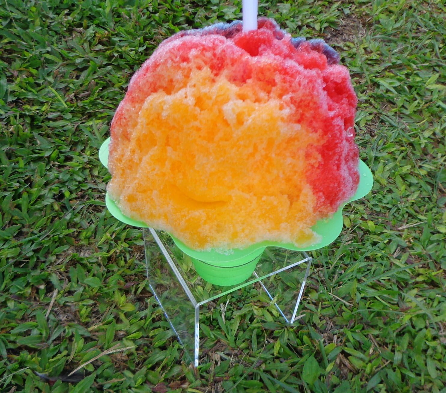 Shaved Ice Flower Cup Holder display stand clear Amazon.ca Office