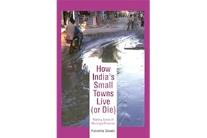 How India's Small Towns Live (or Die): Making Sense of Municipal Finances
