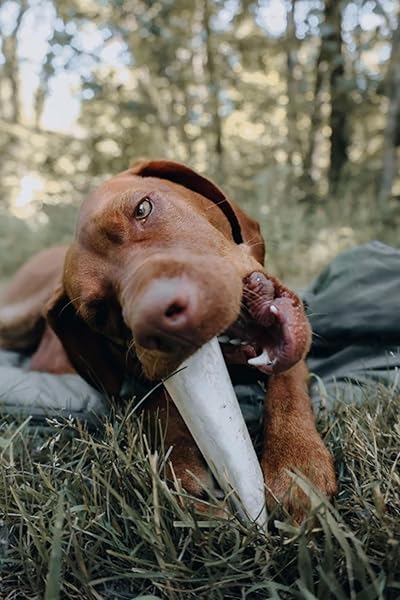 5-6″ STUFF PEANBUTT BONE