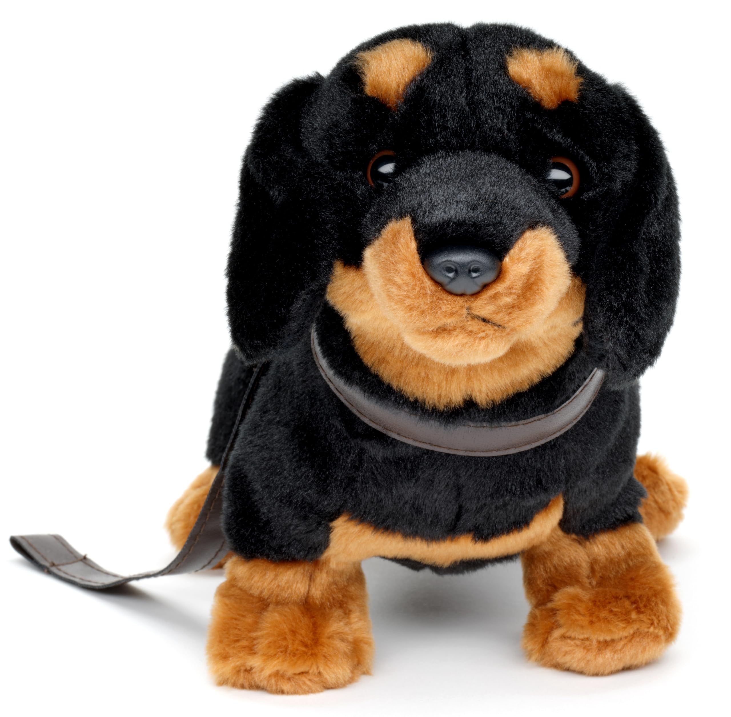 Uni-Toys - Dachshund, standing (with lead) - 28 cm (length) - plush dog, pet - plush toy, cuddly toy