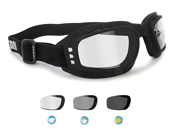 Bertoni Motorradbrille Photochrome Antibeschlag - by Italy F112A Schwarz Schutzbrille Selbsttönend Bikerbrillen Automatische 