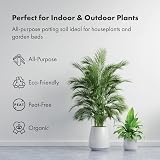 GreenBrokers C1001 Organic All Purpose Potting Compost 10L Peat Free view 2
