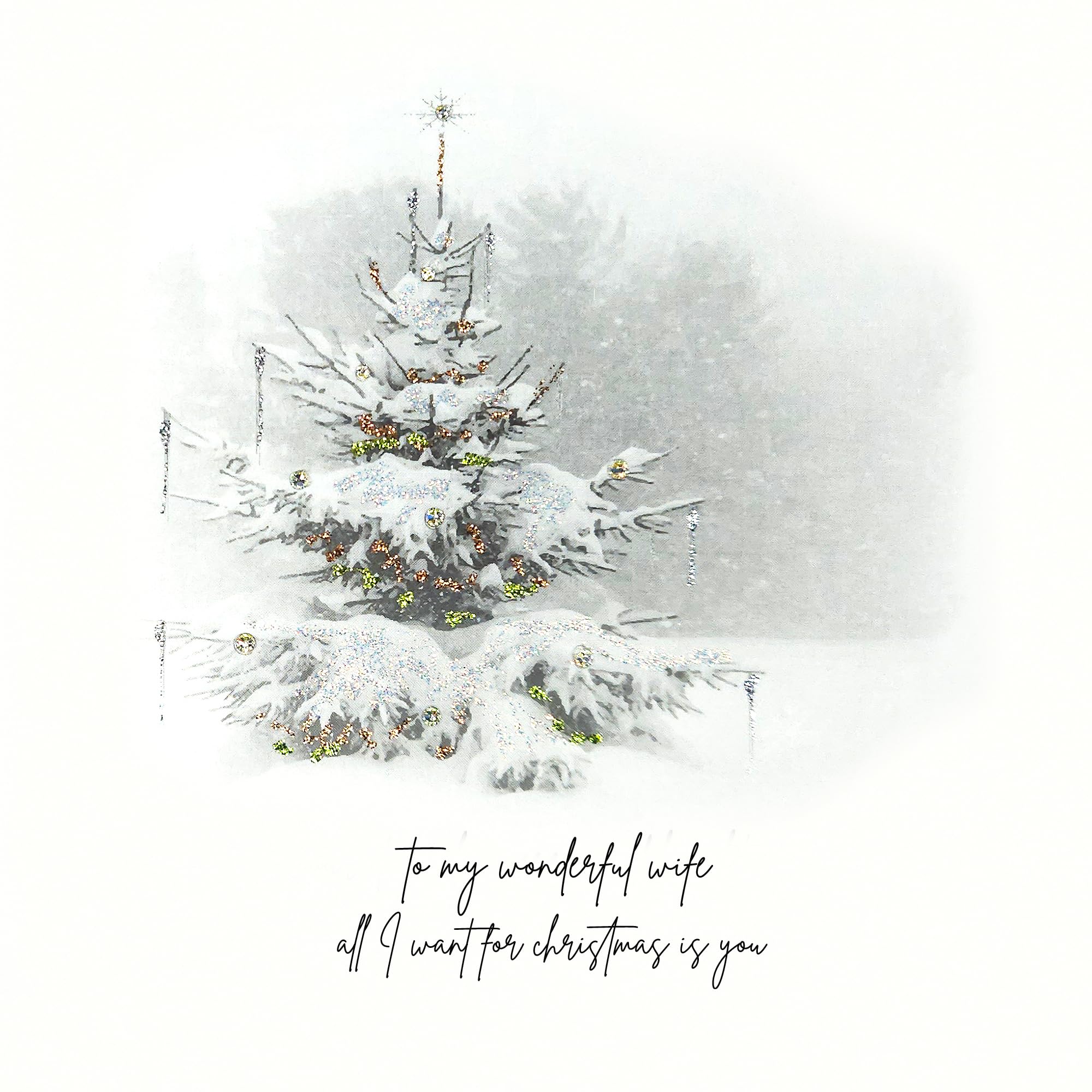 Five Dollar Shake - To My Wonderful Wife All I Want For Christmas - KN20