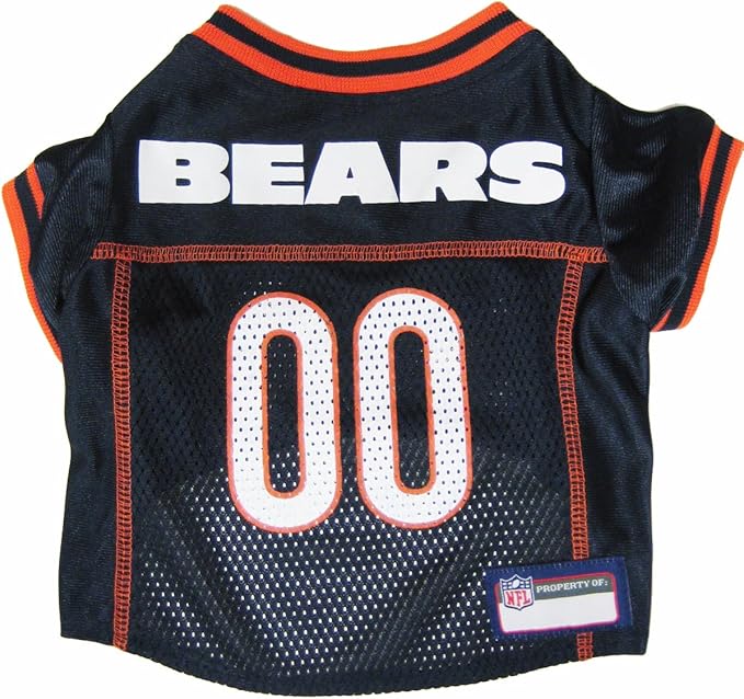 dog bears jersey