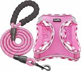 haapaw Dog Harness and Lead Set No Pull Adjustable Reflective Step-in Vest