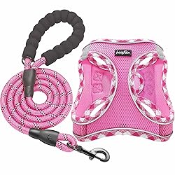 haapaw Dog Harness with Leash Set, No Pull