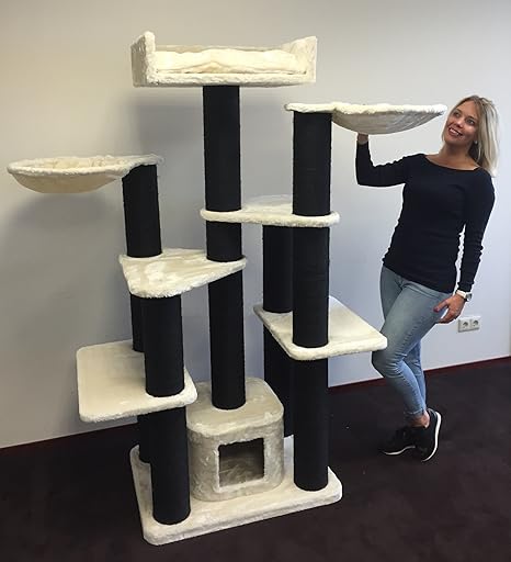 Arbre A Chat Maine Coon Fantaisie Poteaux 15 Cmo 1 X 60 X 1 Cm Arbre A Chat Griffoir Centre D Activite Pour Chats Grands Ou Lourds Fabrication De Qualite De Rhrquality Amazon Fr Animalerie