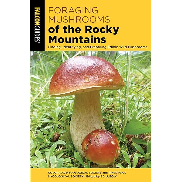 洋書 Mushrooms 51LODJ+pfqL._AC_SY200_QL15_.jpg