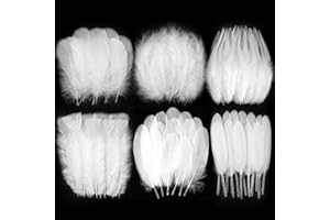 Larryhot White Craft Feathers Bulk - 240pcs 6 Style Mixed Natural Feathers for Wedding Home Party, Dream Catcher Supplies and DIY Crafts (White)