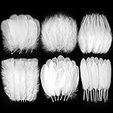 Larryhot White Craft Feathers Bulk - 240pcs 6 Style