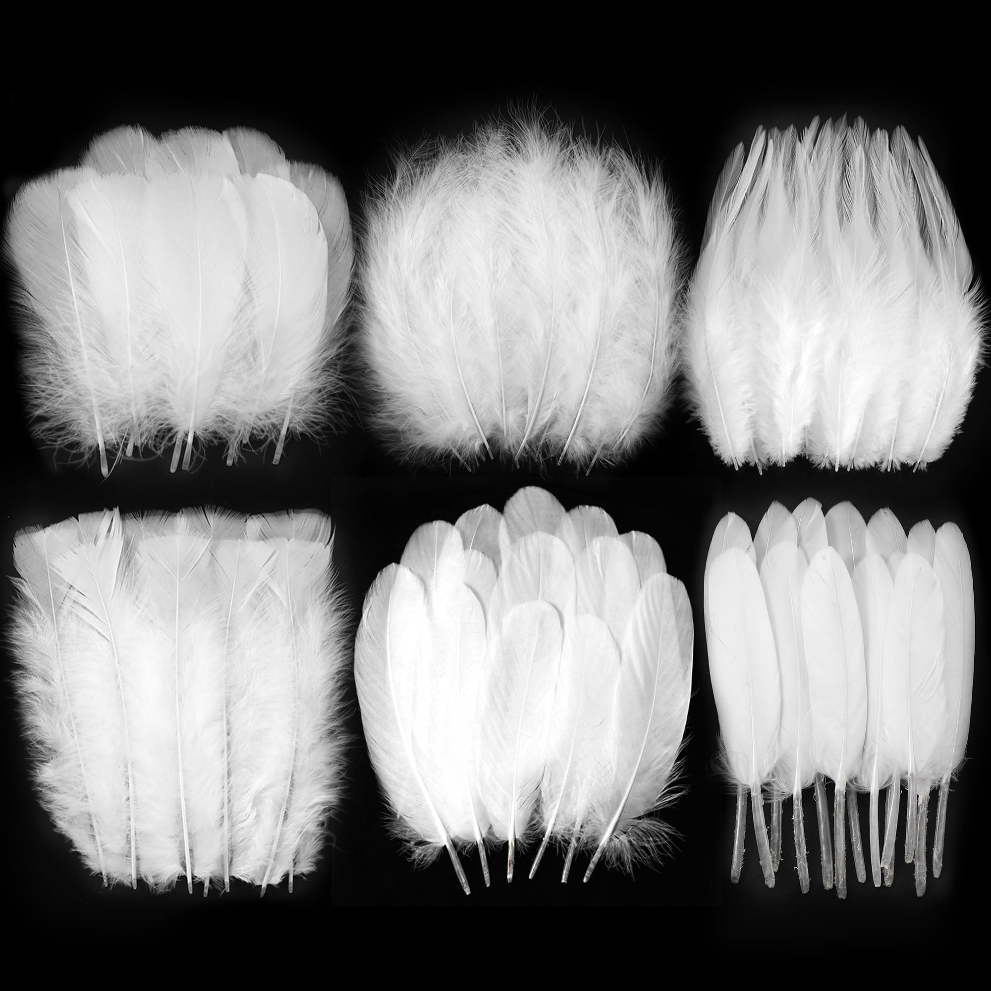 Larryhot White Craft Feathers Bulk - 240pcs 6 Style