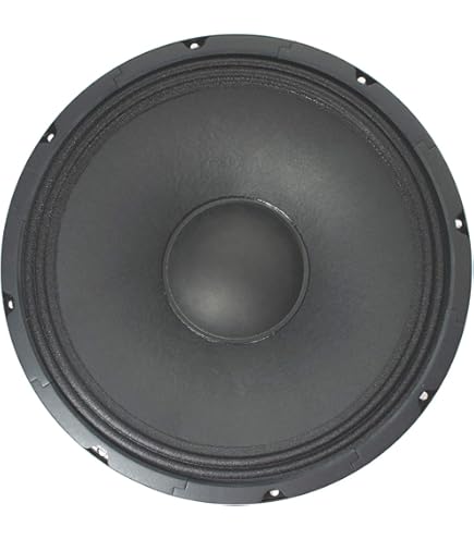 Amazon.com: Harmony Audio HA-P12LS8 Replacement 12