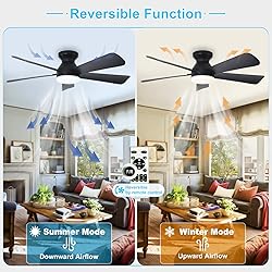 Depuley Modern Ceiling Fan with Light: 42-Inch