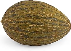 Piel De Sapo Santa Claus Melon