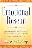 Emotional Rescue: How to Work with Your Emotions to Transform Hurt and Confusion into Energy That Empowers You