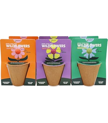 Amazon.com: BUZZY Seeds - Mini kit de cultivo de flores de