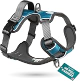 Embark Pets Urban Dog Harness No Pull Front Back Leash Clips Adjustable