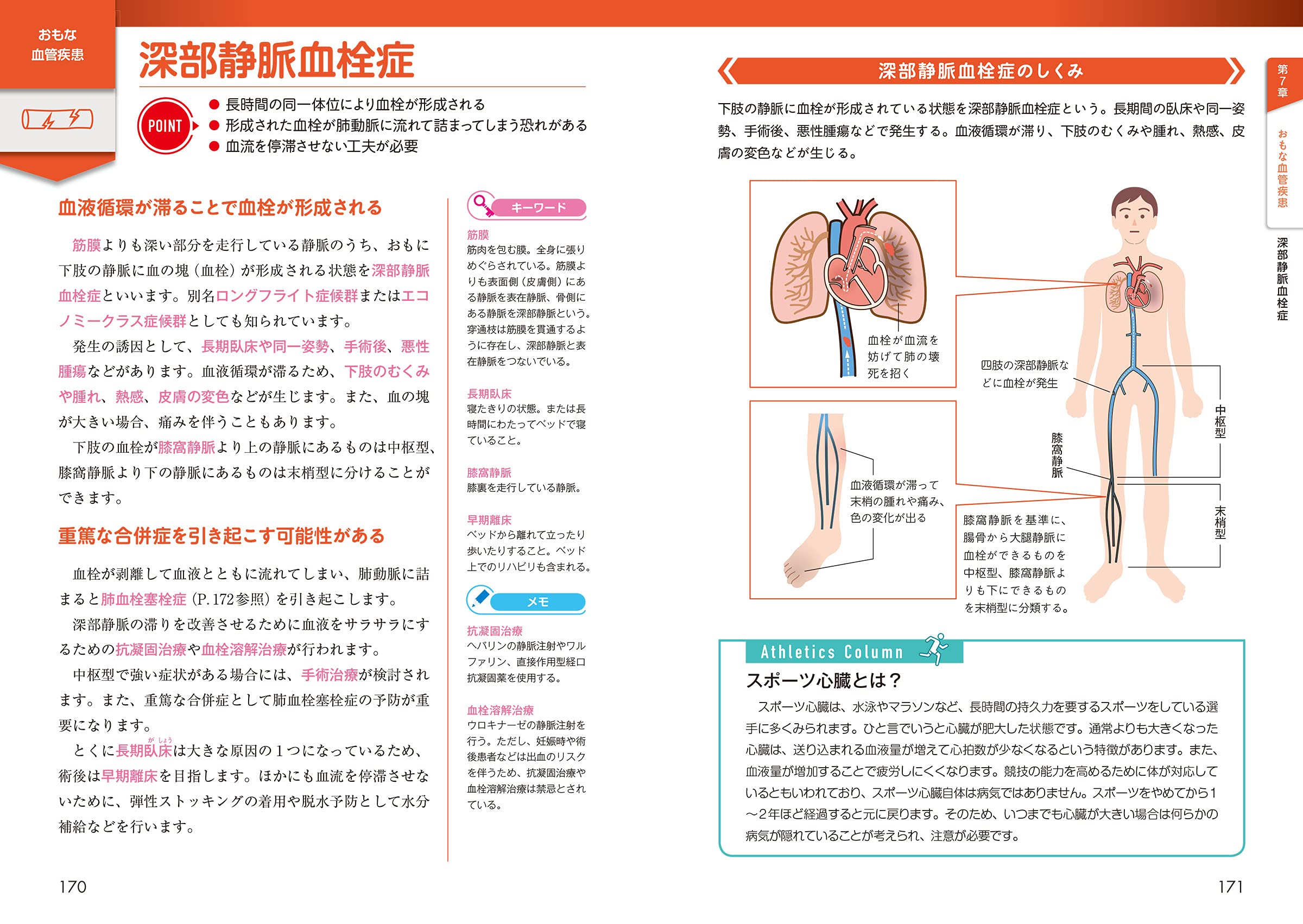 運動 からだ図解 循環器のしくみ 阿古潤哉 本 通販 Amazon