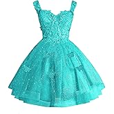 Glitter Tulle Homecoming Dresses 3D Butterfly Short Prom Dress Lace Sequin Quinceanera Dresses