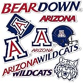 Desert Cactus University of Arizona Sticker Wildcats UA Vinyl Decals Laptop Water Bottle Car Scrapbook Sheet T2 (Type 2)