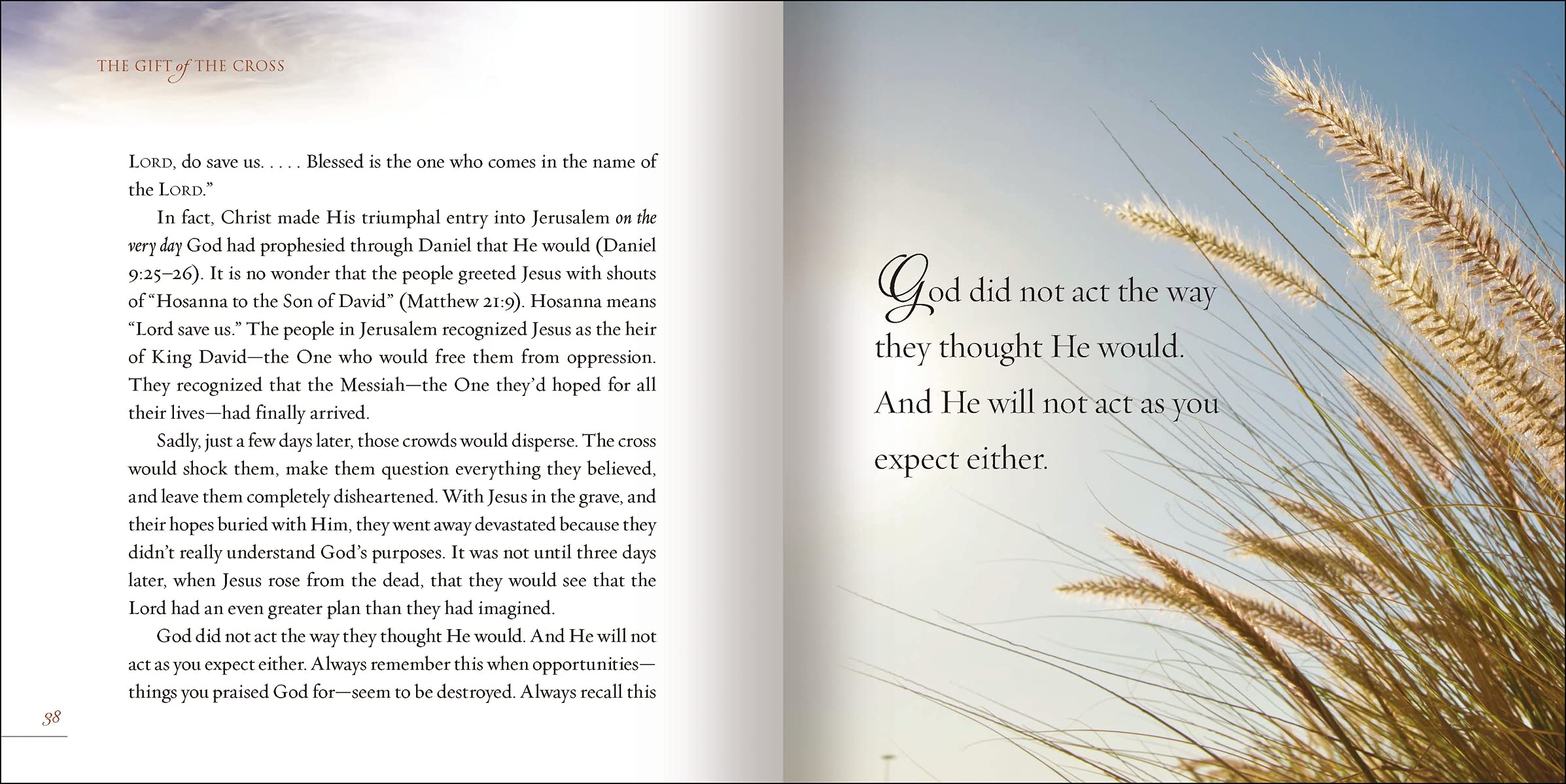 The Gift of the Cross: Embracing the Promise of the Resurrection