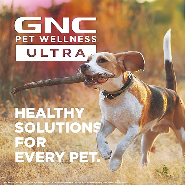 GNC ULTRA MEDICATED HYPO-ALLERGENIC SHAMPOO 16OZ | MEDICATED RELIEF SHAMPOO FOR DOGS HYPOALLERGENIC SENSITIVE SKIN | GNC SHAMPOO FOR DOGS WITH SENSITIVE SKIN & ALLERGIES | FRAGRANCE-FREE DOG SHAMPOO