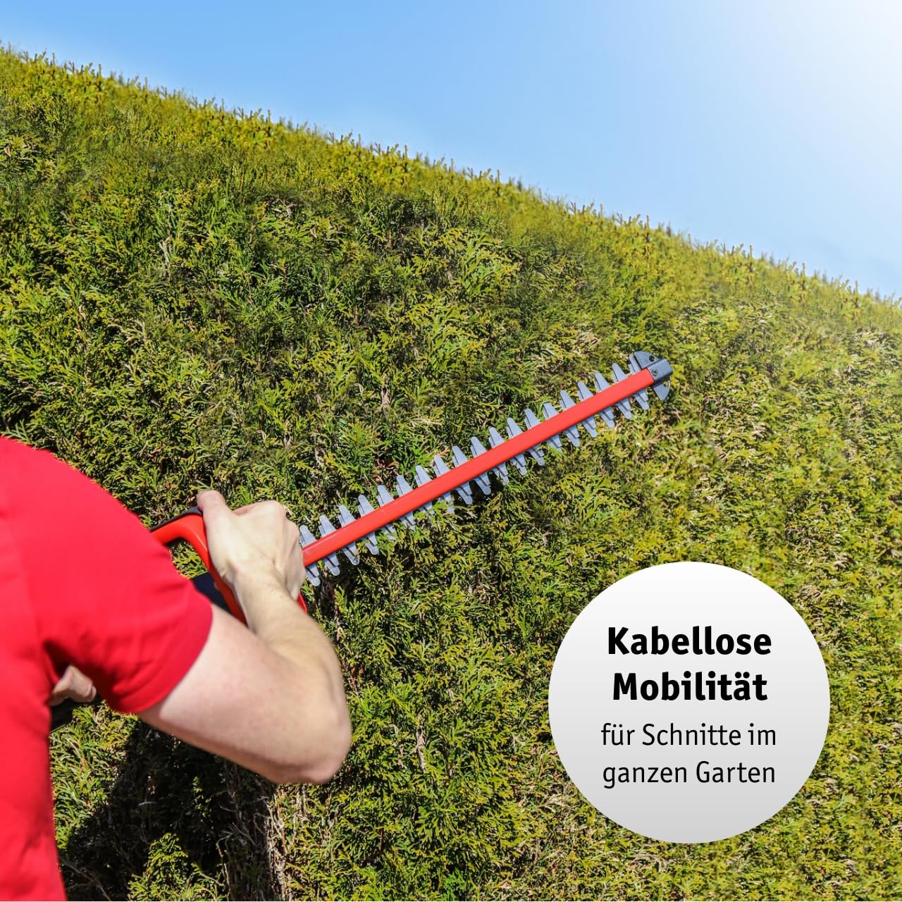 WALTER Li-Ion Akku-Heckenschere 20V, 45cm Schnittlänge, inkl. Zusatzhandgriff für Komfortables Arbeiten, schneidet präzise und ordentlich, scharfes Metall Messer, für längere Gartenarbeit geeignet 3