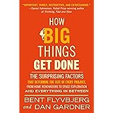 How Big Things Get Done: The Surprising Factors That Determine the Fate of Every Project, from Home Renovations to Space Expl