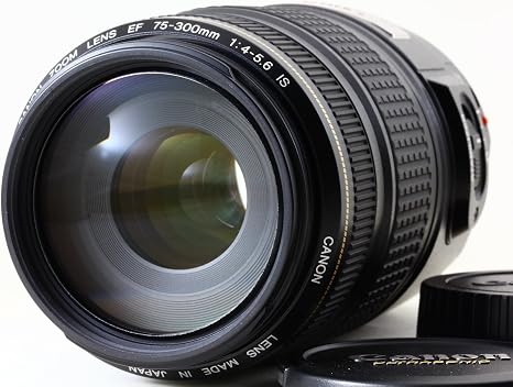 Amazon Com Canon Ef 75 300mm F 4 5 6 Is Usm Telephoto Zoom Lens For Canon Slr Cameras Discontinued By Manufacturer Camera Lenses Camera Photo