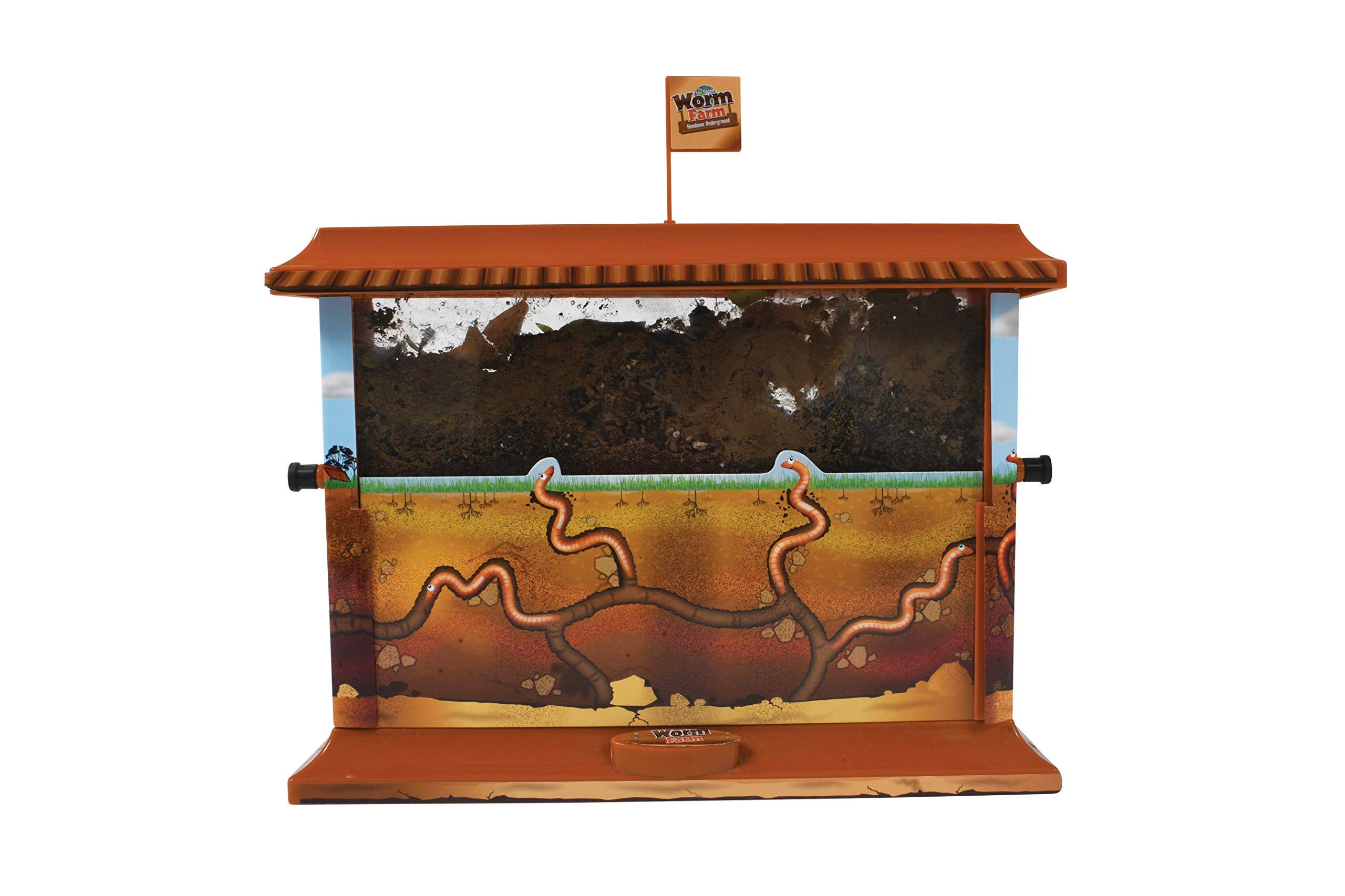 WILD! Science - WS27 Worm Farm - Ages 6+ - In Home Learning Science Kit - Easy Assembly - Worm Farm, Colored Sand, Accessories and Education & Instruction Booklet