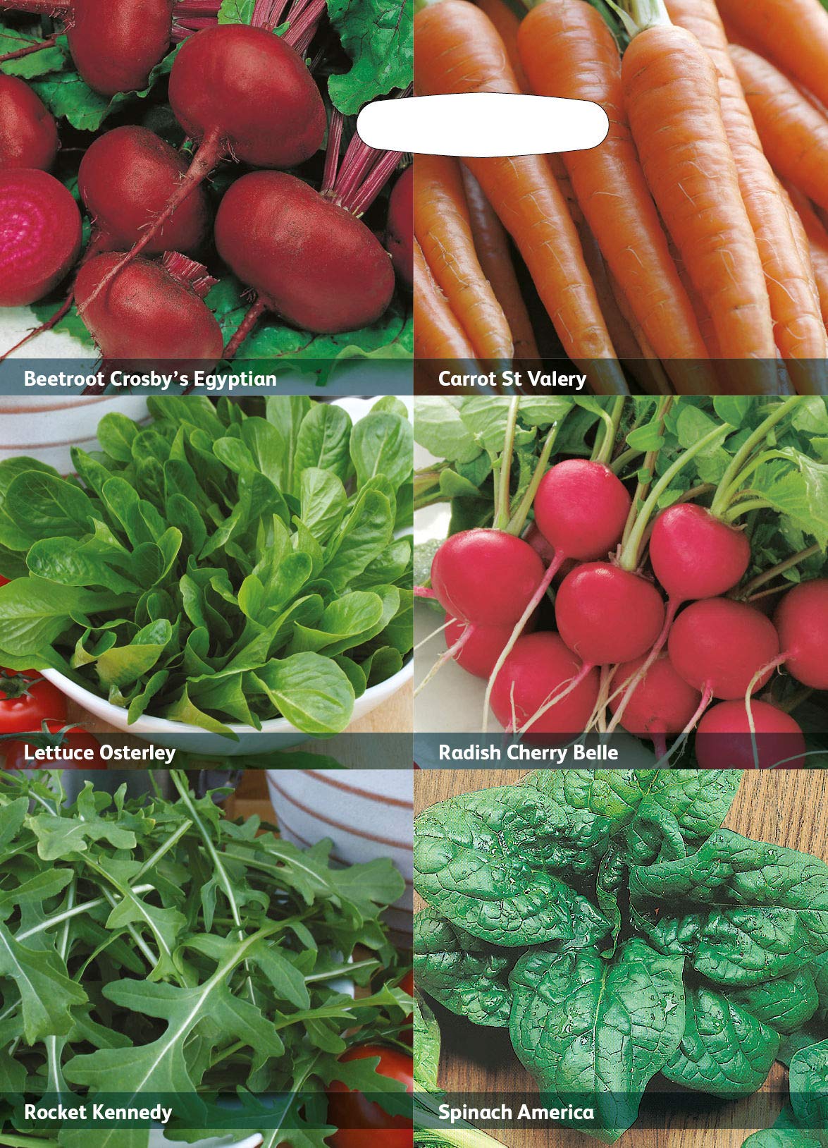Mr Fothergills RHS Vegetables for Easy Growing Collection Seeds
