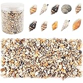 2000 Pcs Tiny Sea Shells for Crafting,Mixed Ocean Beach Mini Seashells Bulk for Home Decorations,Beach Theme Party, Small Shells for Craft, Wedding Decor, Fish Tank Vase Filler(5-12 mm)