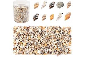 Weoxpr 2000 Pcs Tiny Sea Shells for Crafting,Mixed Ocean Beach Mini Seashells Bulk for Home Decorations,Beach Theme Party, Small Shells for Craft, Wedding Decor, Fish Tank Vase Filler(5-12 mm)