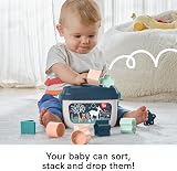 Fisher-Price Baby's First Blocks Stacking Toy 10 Shapes Navy Fawn HJP20 view 3