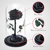 INTIGNIS Black Eternal Forever Rose | Preserved Gift for Women view 2