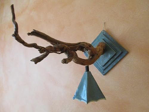 Treibholz Wand Lampe Led Holz Leuchte Holz Lampe Keramik Lampe