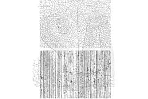 STAMPERS ANONYMOUS ART GONE WILD Tim Holtz Cling 7"X8.5" STAMP, Craze & Planks